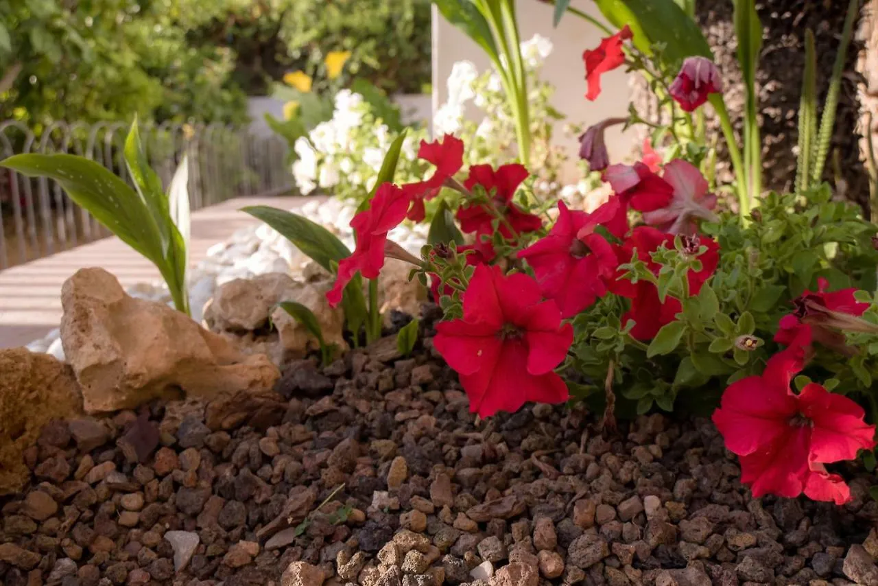 Semesterbostad Villa Filipinas ,Centro Ciudad -Etv10310 Palma de Mallorca Spanien